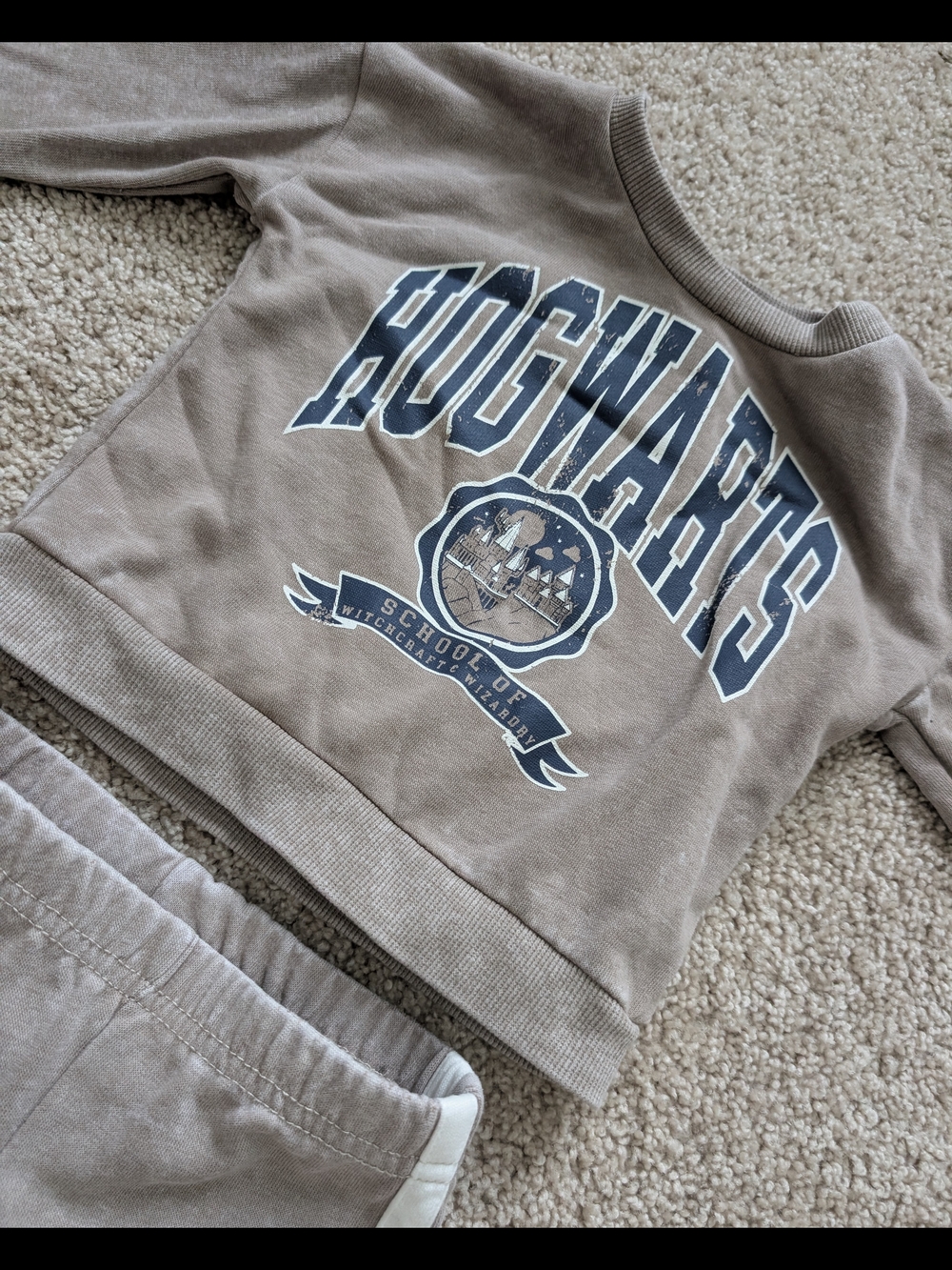Warner Bros. Harry Potter Taupe Crewneck Top with Navy Crest - Picture 3 of 7